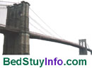 Bedford Stuyvesant Homes